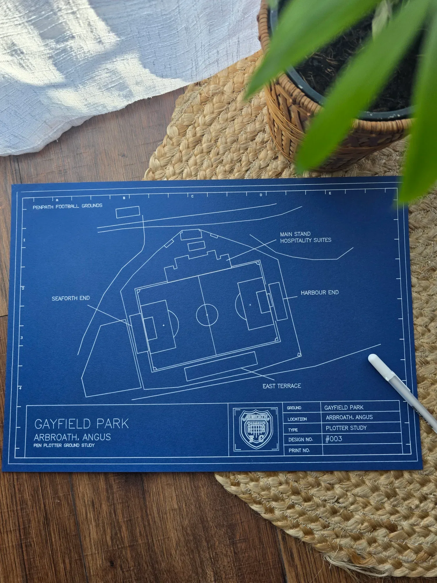Pen-plotted artwork of Gayfield Park